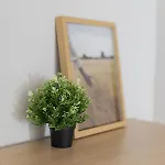 Apartmán Estudio Con Encanto En Barcelona