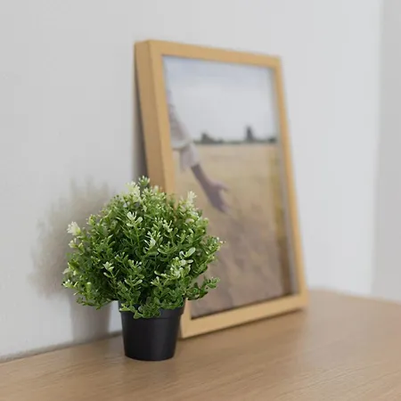 Apartment Estudio Con Encanto En Barcelona